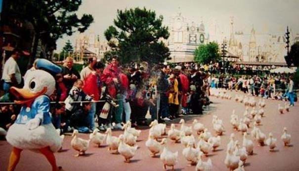 Μοναδικές στιγμές στα θεματικά πάρκα της Disney (7)